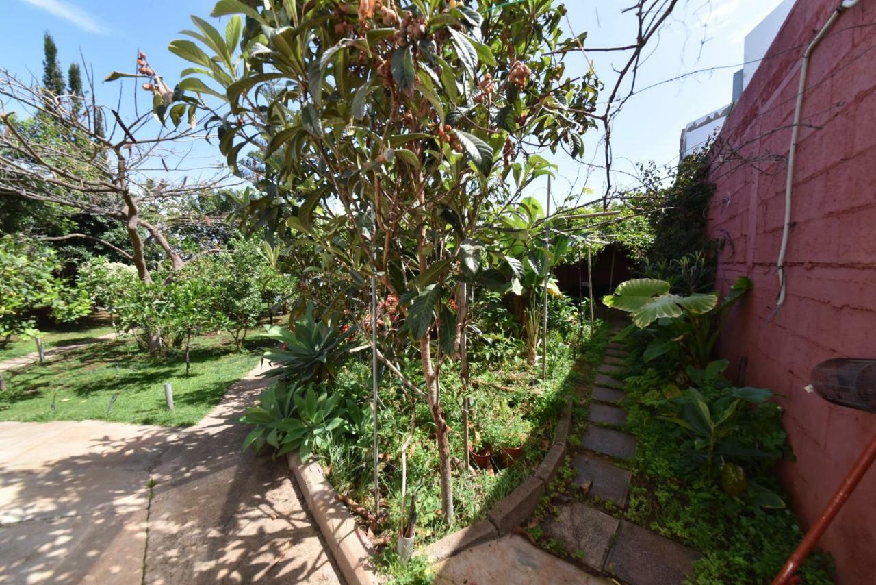 Casa El Tonelero Con Jardin Y Piscina Privada Villa Galdar Bagian luar foto