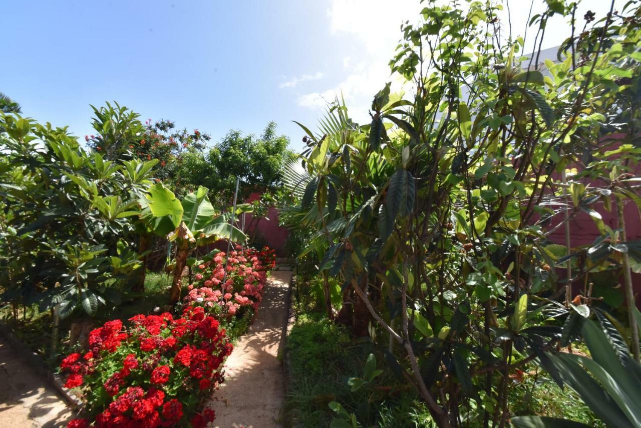 Casa El Tonelero Con Jardin Y Piscina Privada Villa Galdar Bagian luar foto